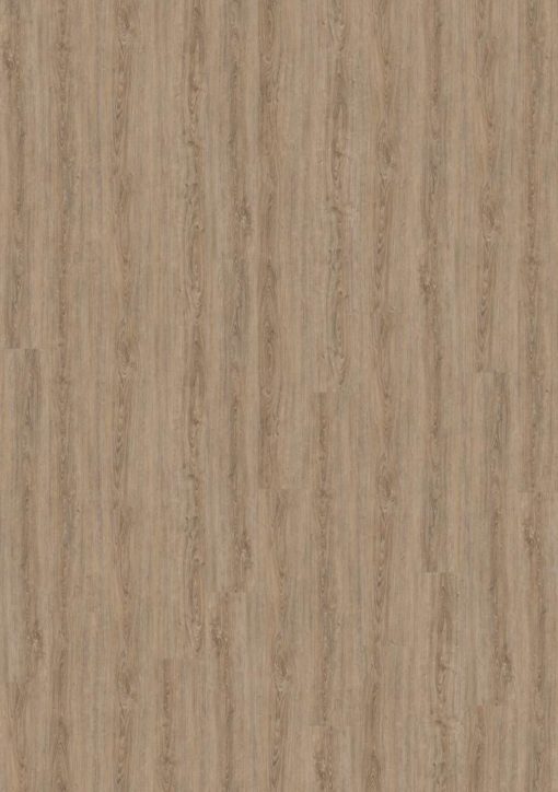 Wineo 800 wood XL Clay Calm Oak