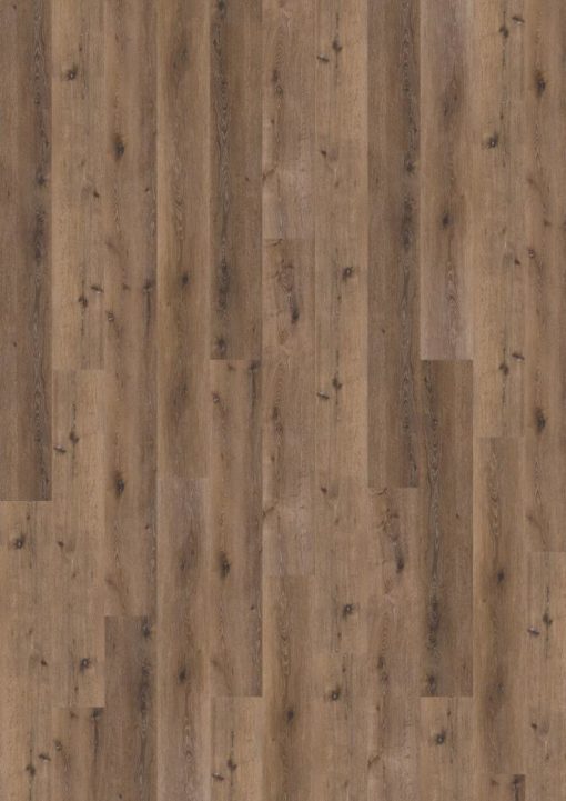 Wineo 800 wood XL Mud Rustic Oak