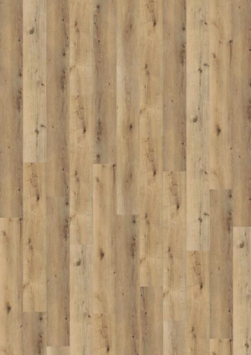 Wineo 800 wood XL Corn Rustic Oak