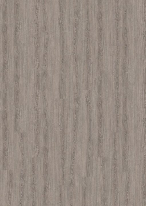 Wineo 800 wood XL Lundy Dusty Oak