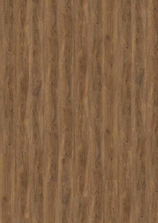 Wineo 800 wood XL Cyprus Dark Oak