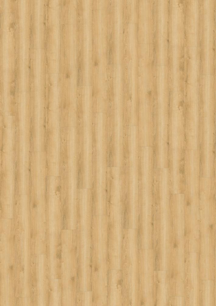 Wineo 800 wood Wheat Golden Oak