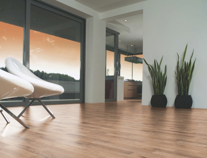 TÖLGY ALIANO - Image 5