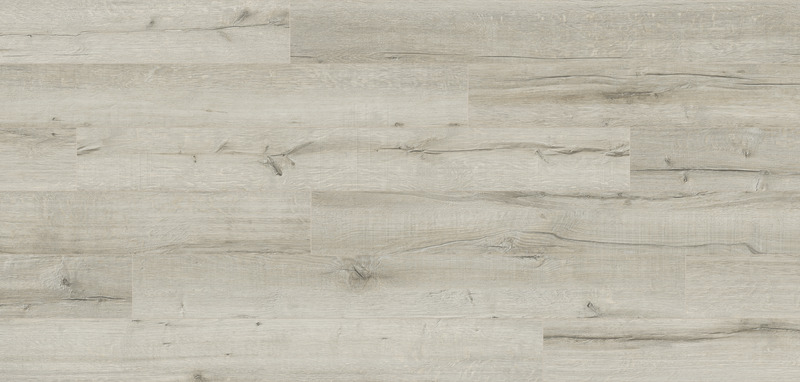 TÖLGY BARI - Image 2