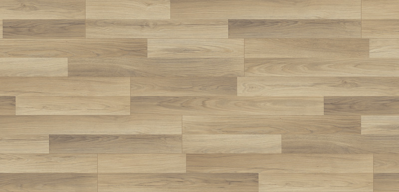 TÖLGY PETRONA - Image 2