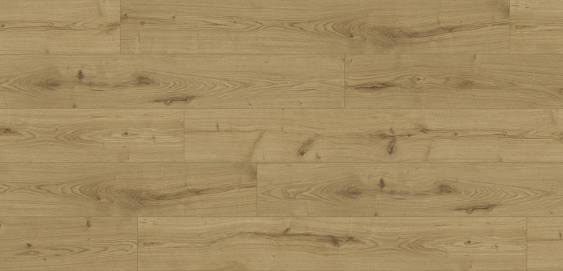 TÖLGY SEVERINA - Image 2