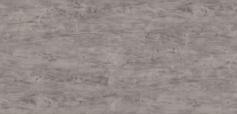 TÖLGY NIXON - Image 2