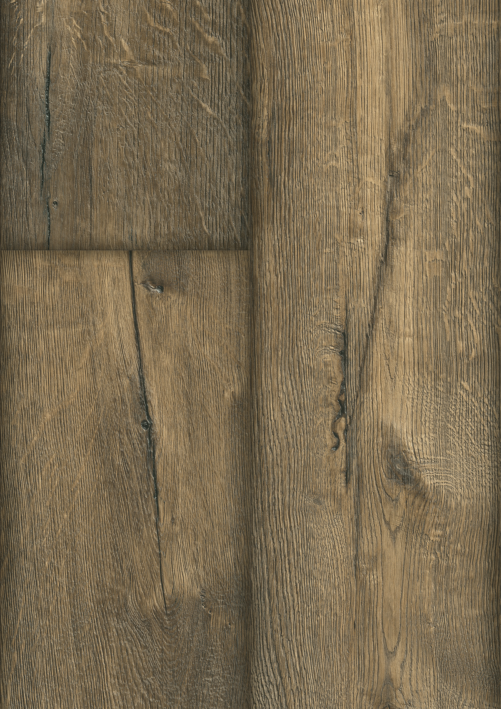 TÖLGY POSINO - Image 2